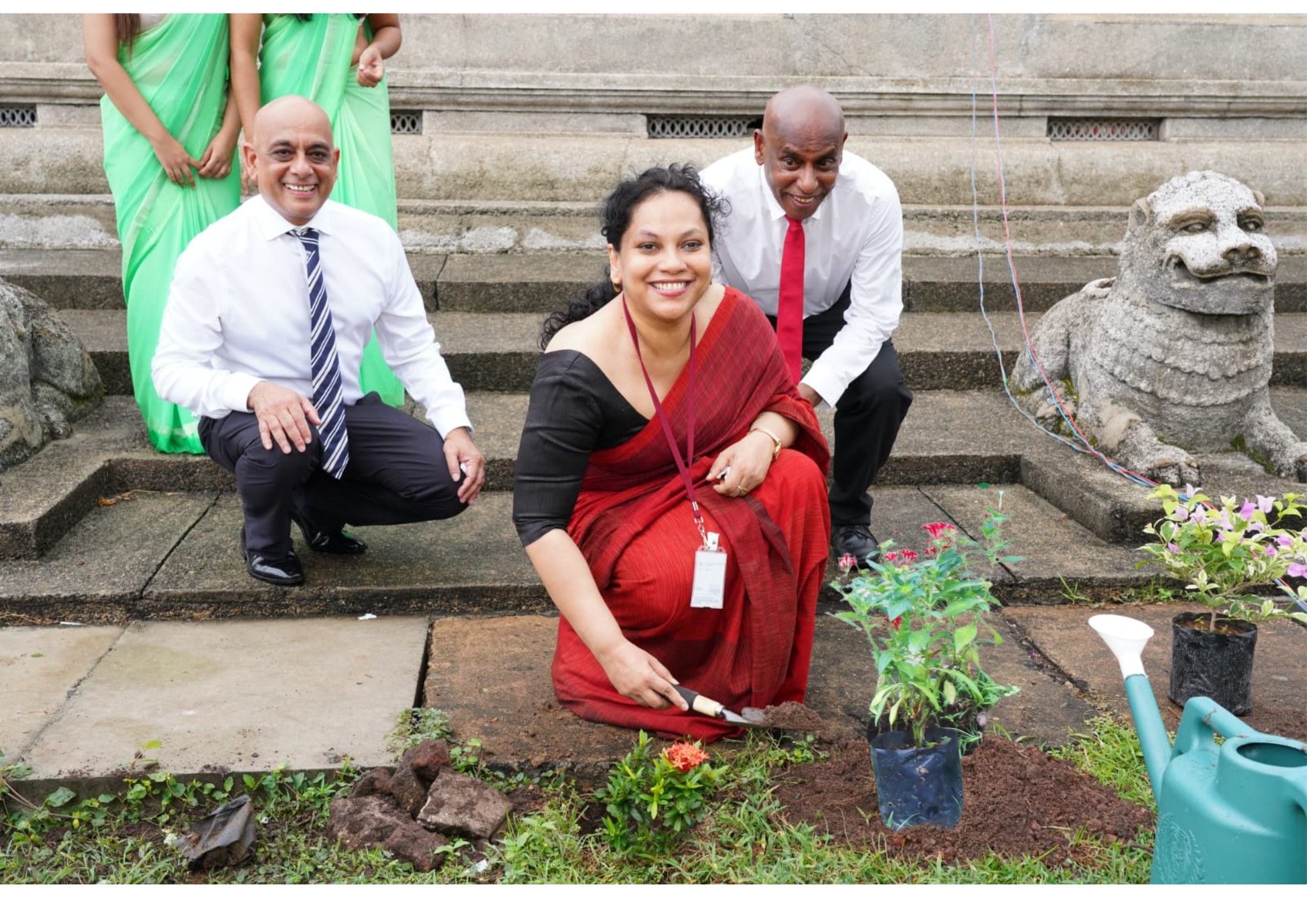 නිදහස් චතුරශ්‍රය පරිශ්‍රය